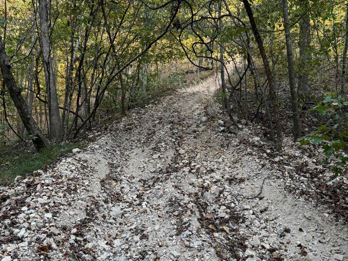 Yellow 27 trail photo