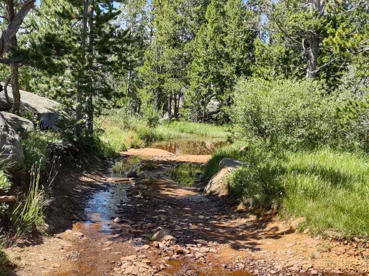 Little Rock (FS 368) trail photo