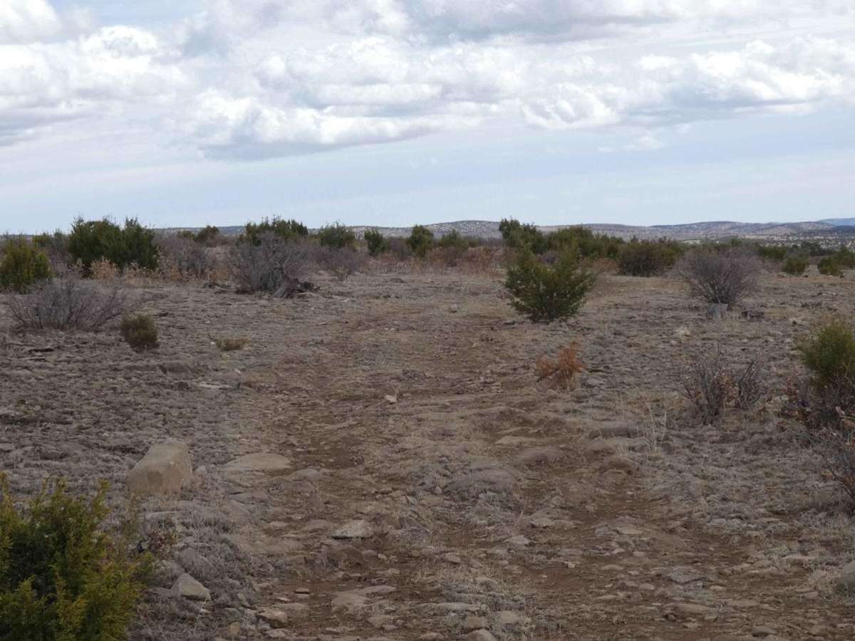 Cactus Canyon photo 5