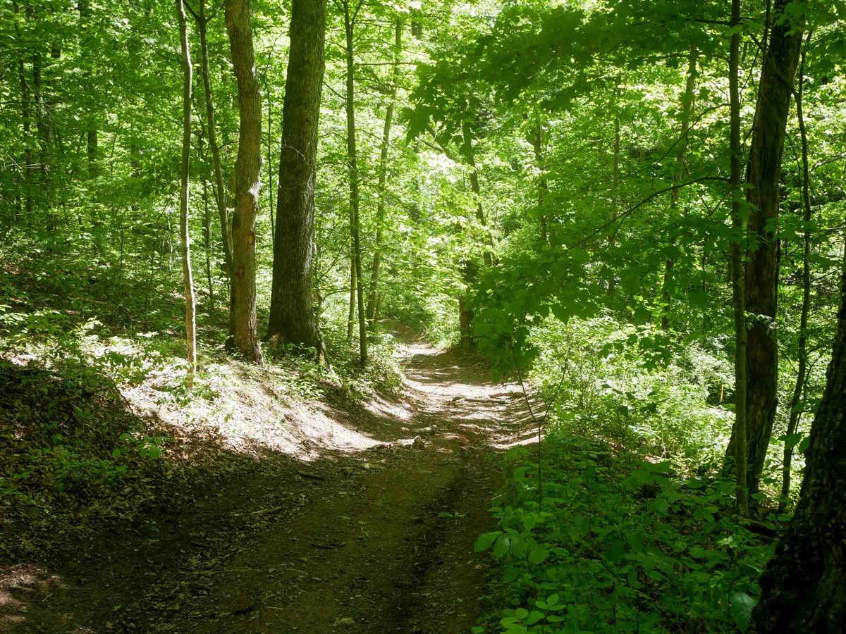 Trail 26 Razor Bypass photo 5