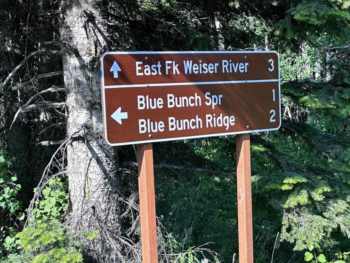 Blue Bunch Ridge trail photo
