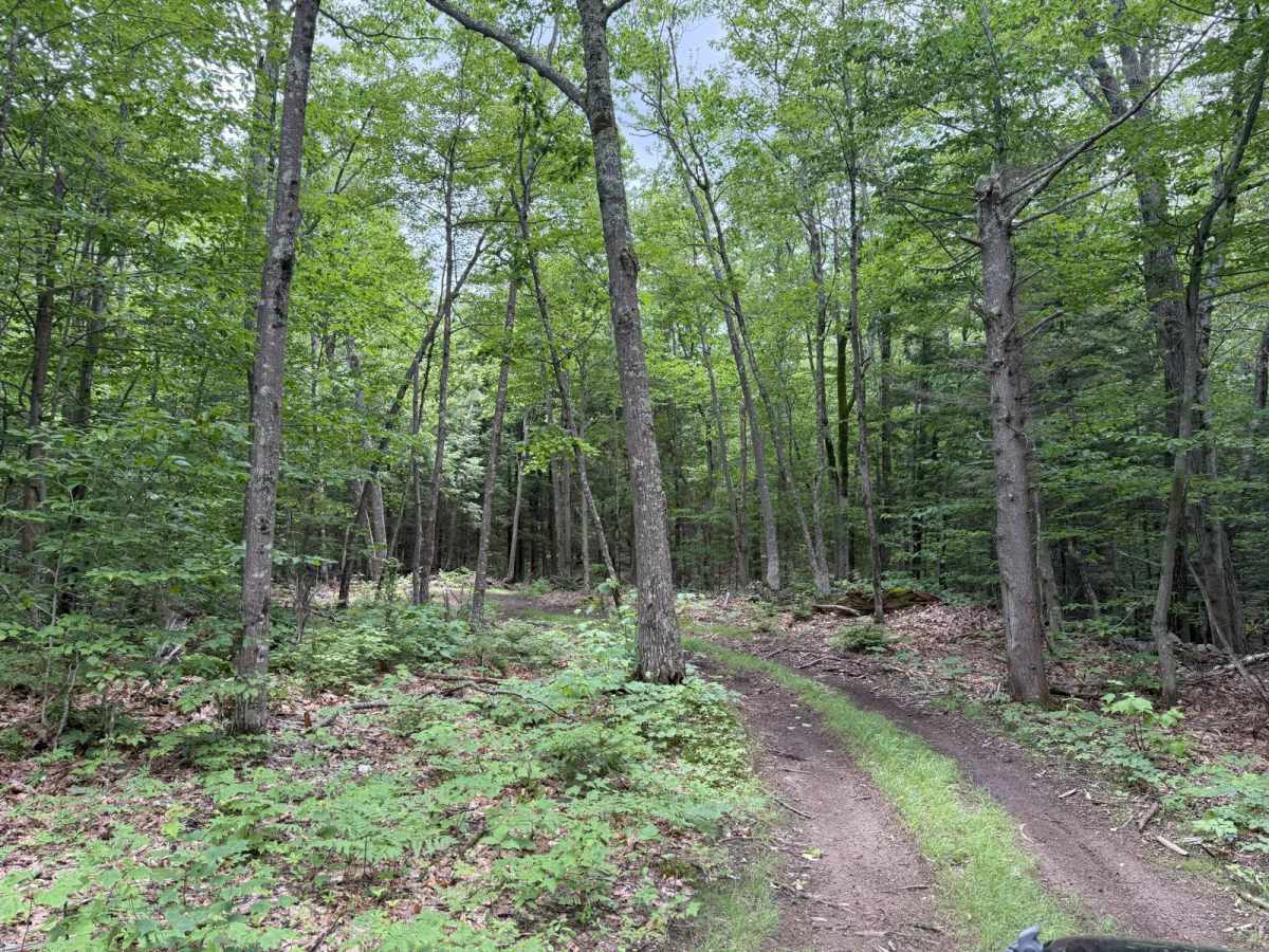 Talcott Road to Old Stage Road photo 6