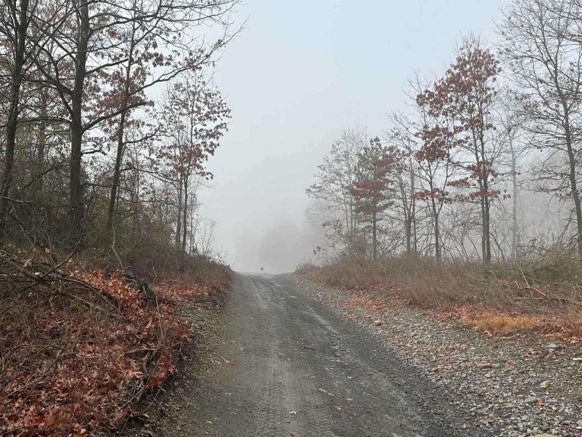 Hill Island Road to Paradise Connector photo 5
