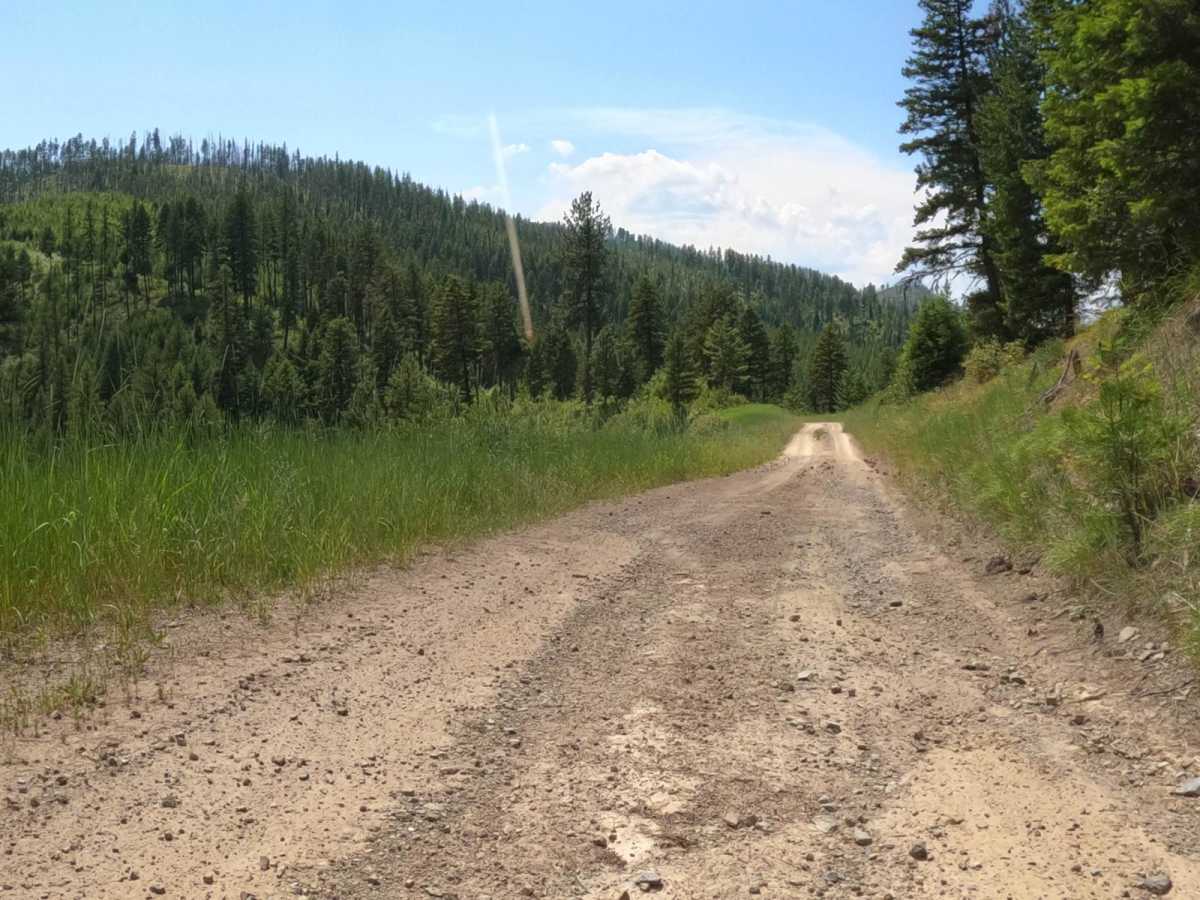 Flat Creek Road - Pardee Creek Road photo 2