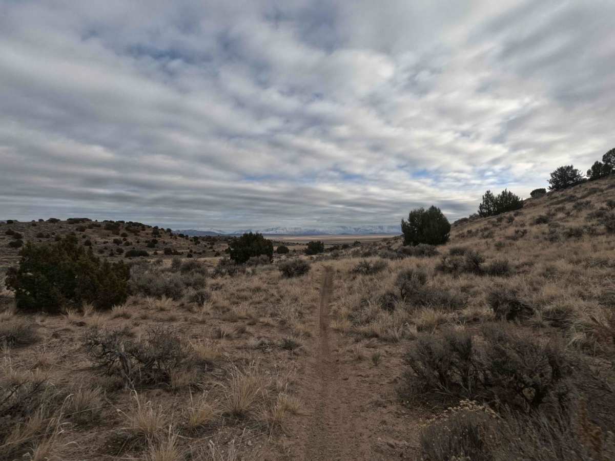 519 trail photo