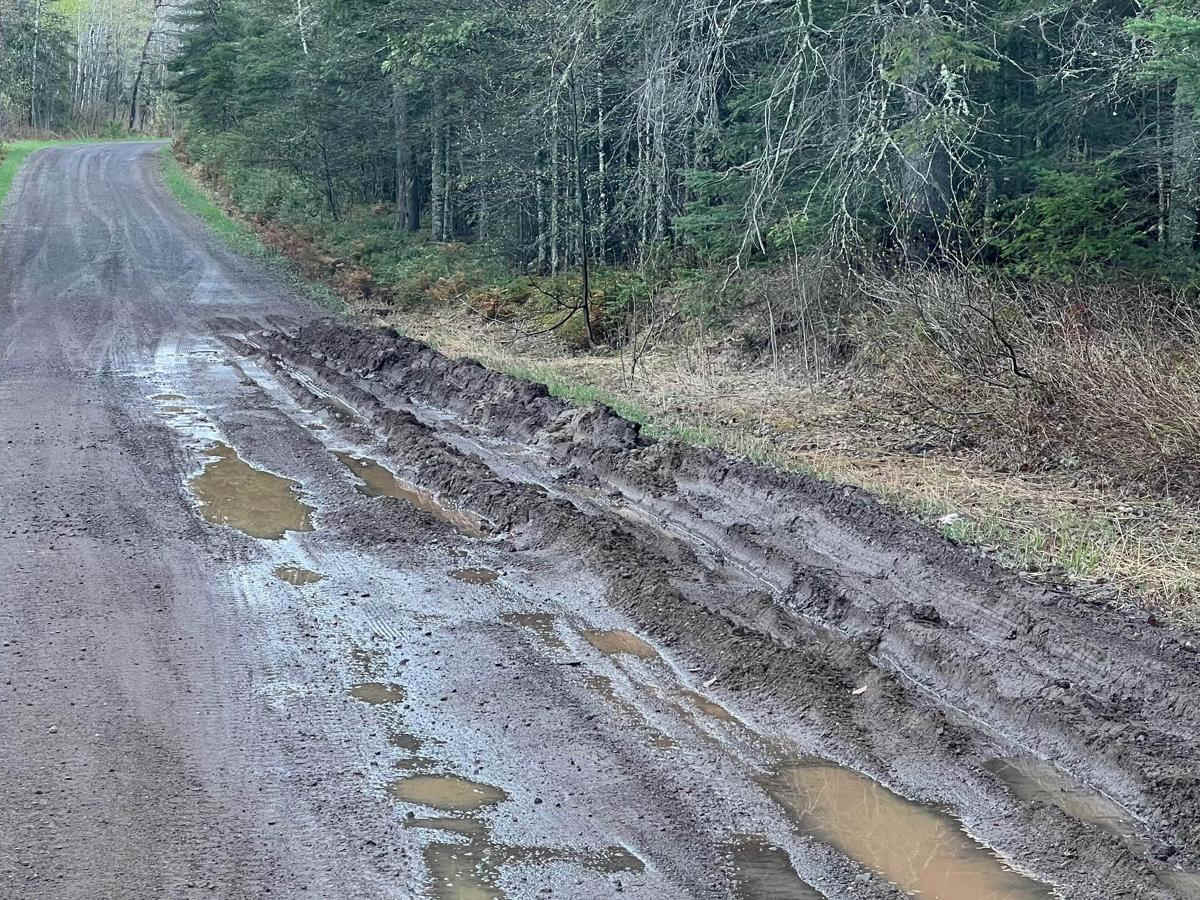 Hulligan Lake & Carol Truck Trail photo 4
