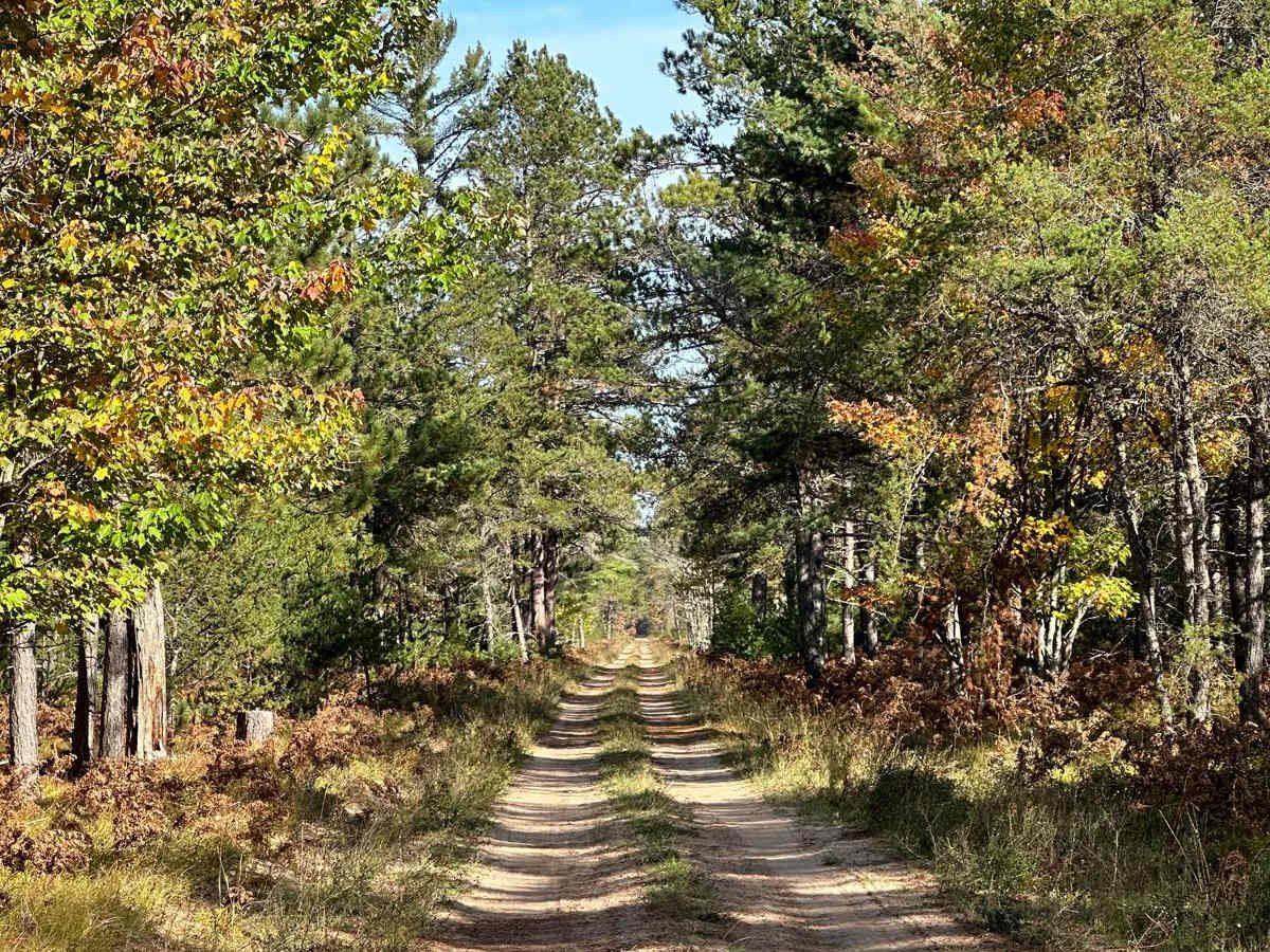 FS 2253 photo 2