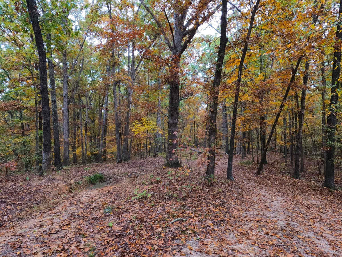 Watkins Road - FS 306 photo 5