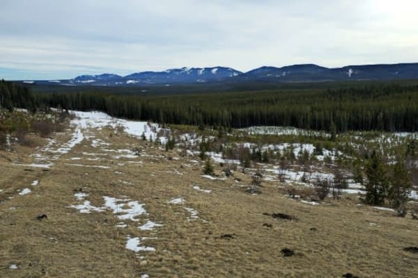 3150 Trail