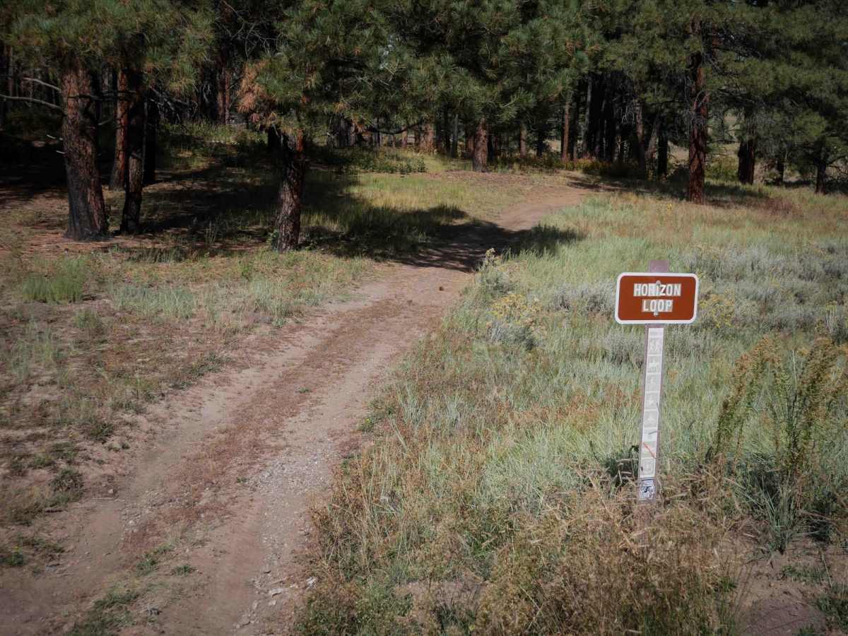 Horizon Loop photo 6