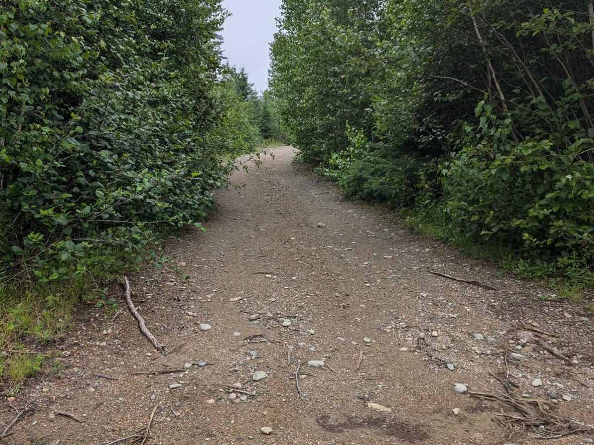 Old Springfield Pass photo 5