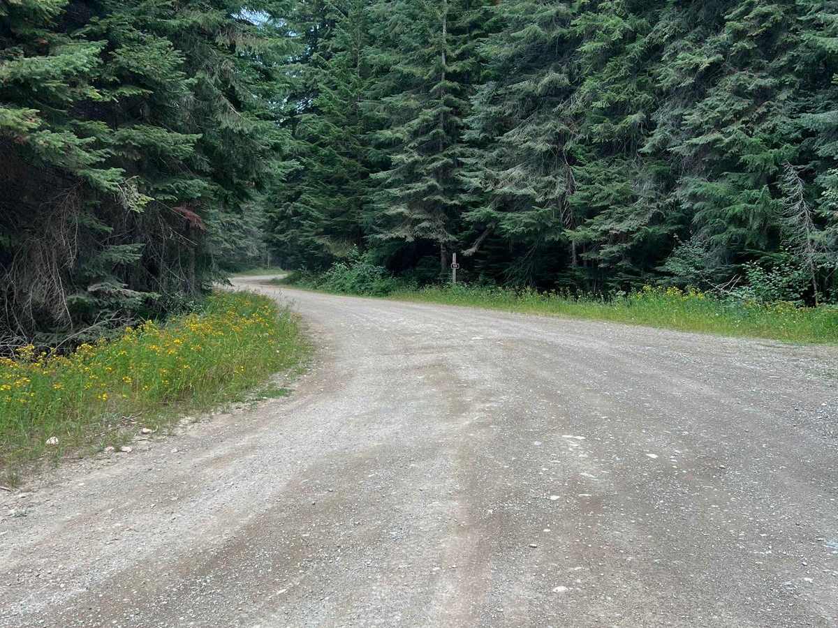 North Fork Road to Cascade Saddle photo 3