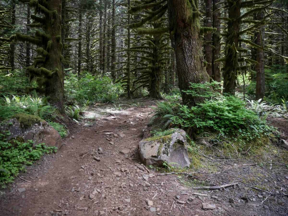 Microwave trail photo