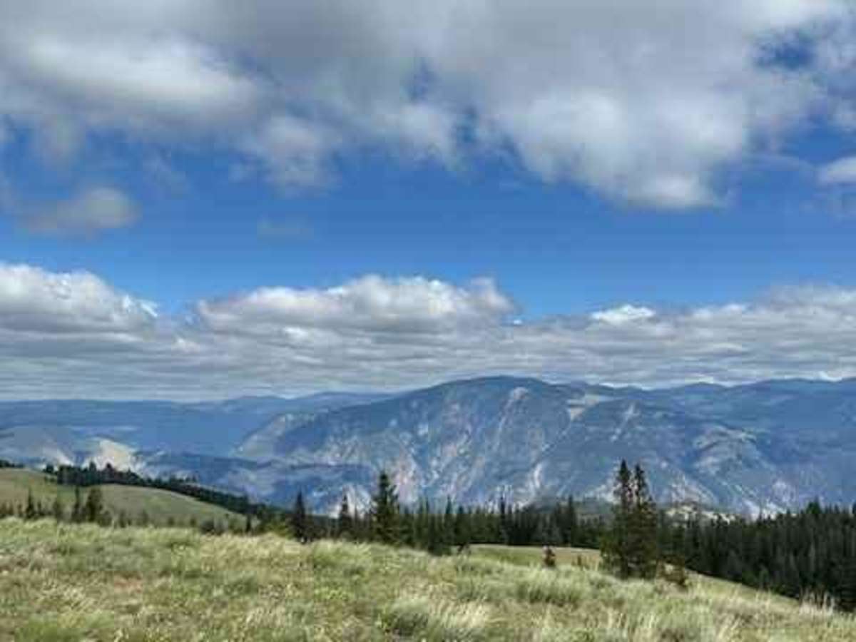 John's Creek Road (FSR) photo 5
