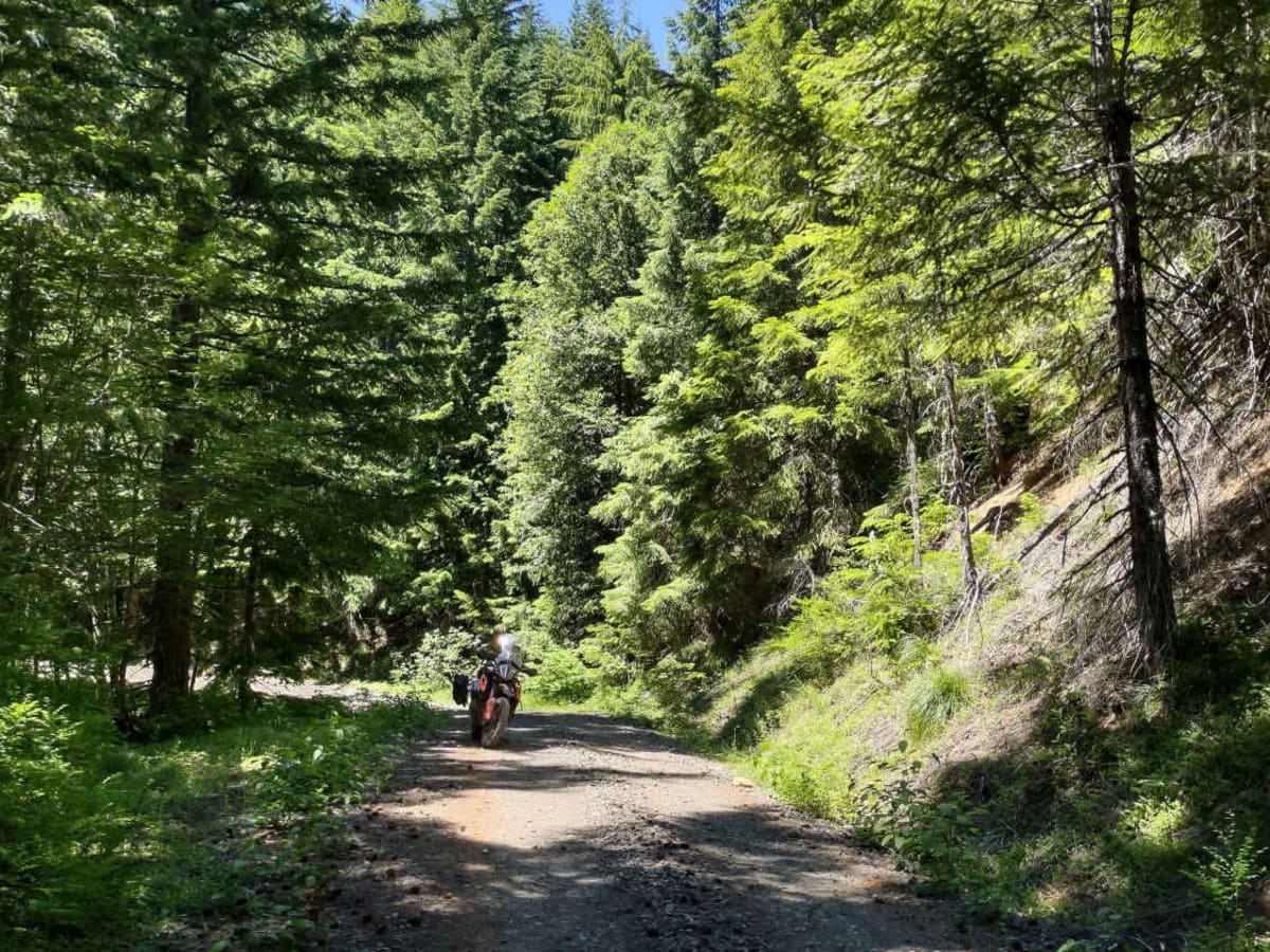 Moose Mountain- FS 2027 photo 4