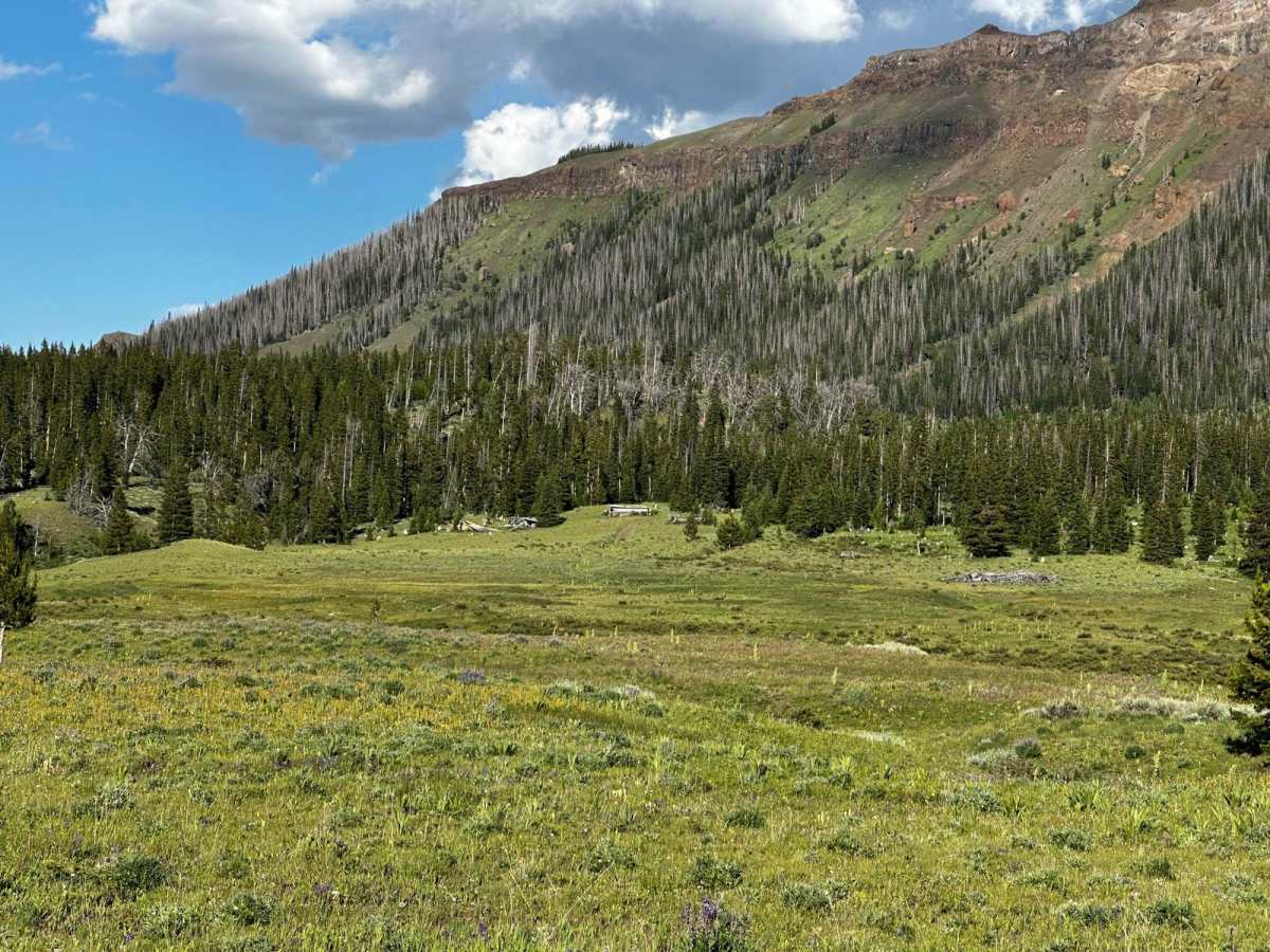 Carter Mountain Access photo 6