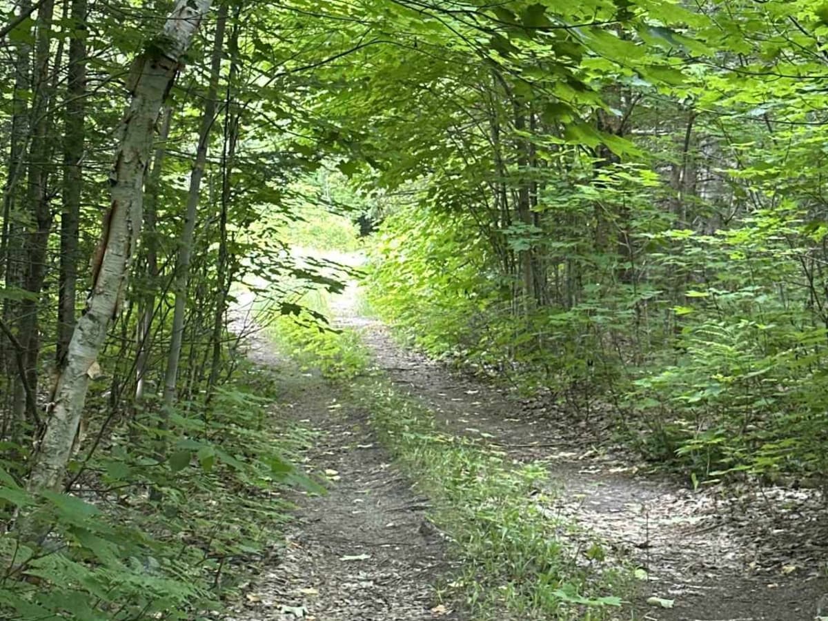 FS 3527 photo 4