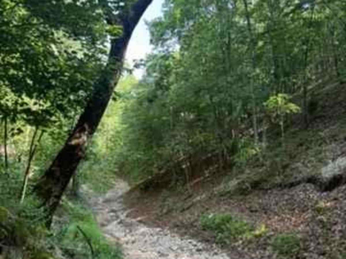 Blake's Trail 2.0 photo 5