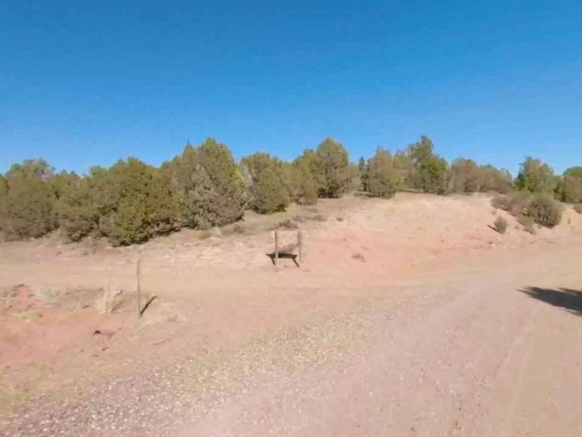 Big Dip Road-BLM1078 photo 3