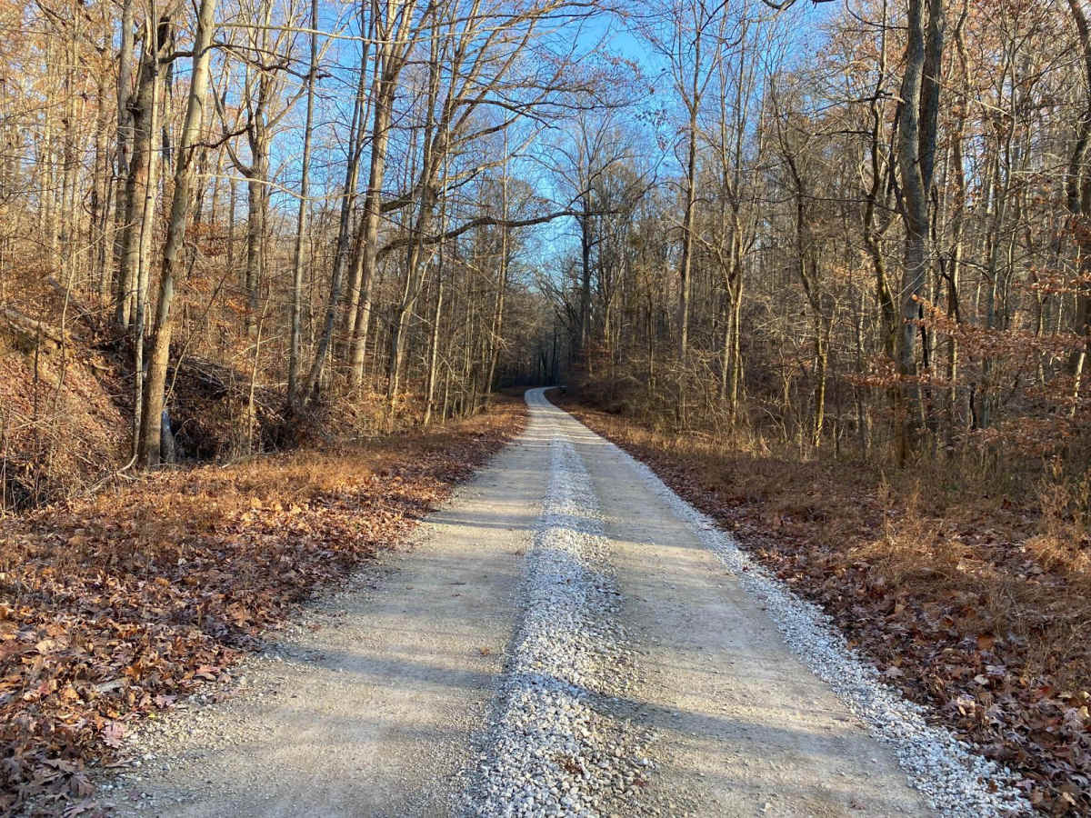 Wolf Creek Road photo 2