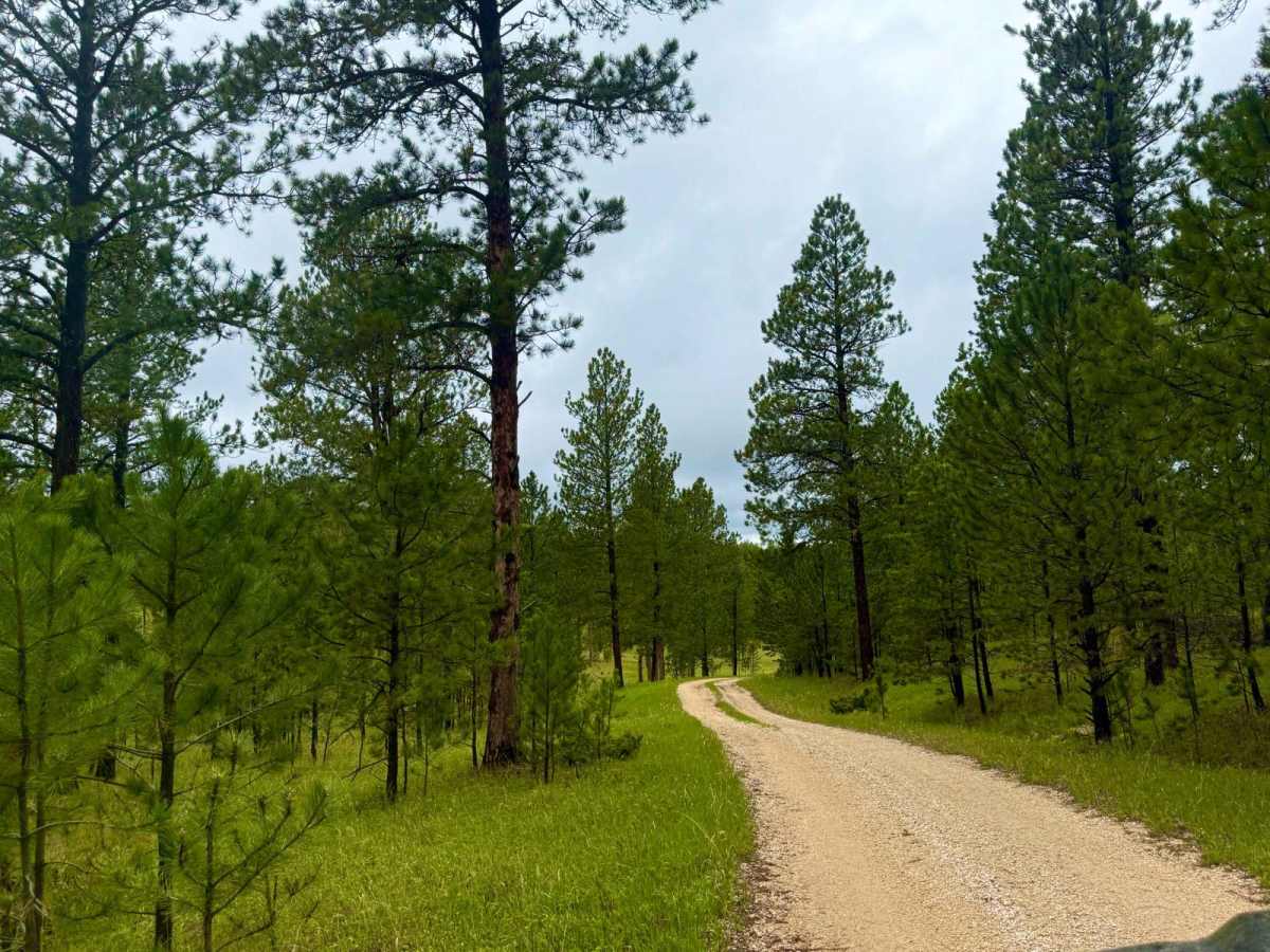 Heggie Spring Road photo 5