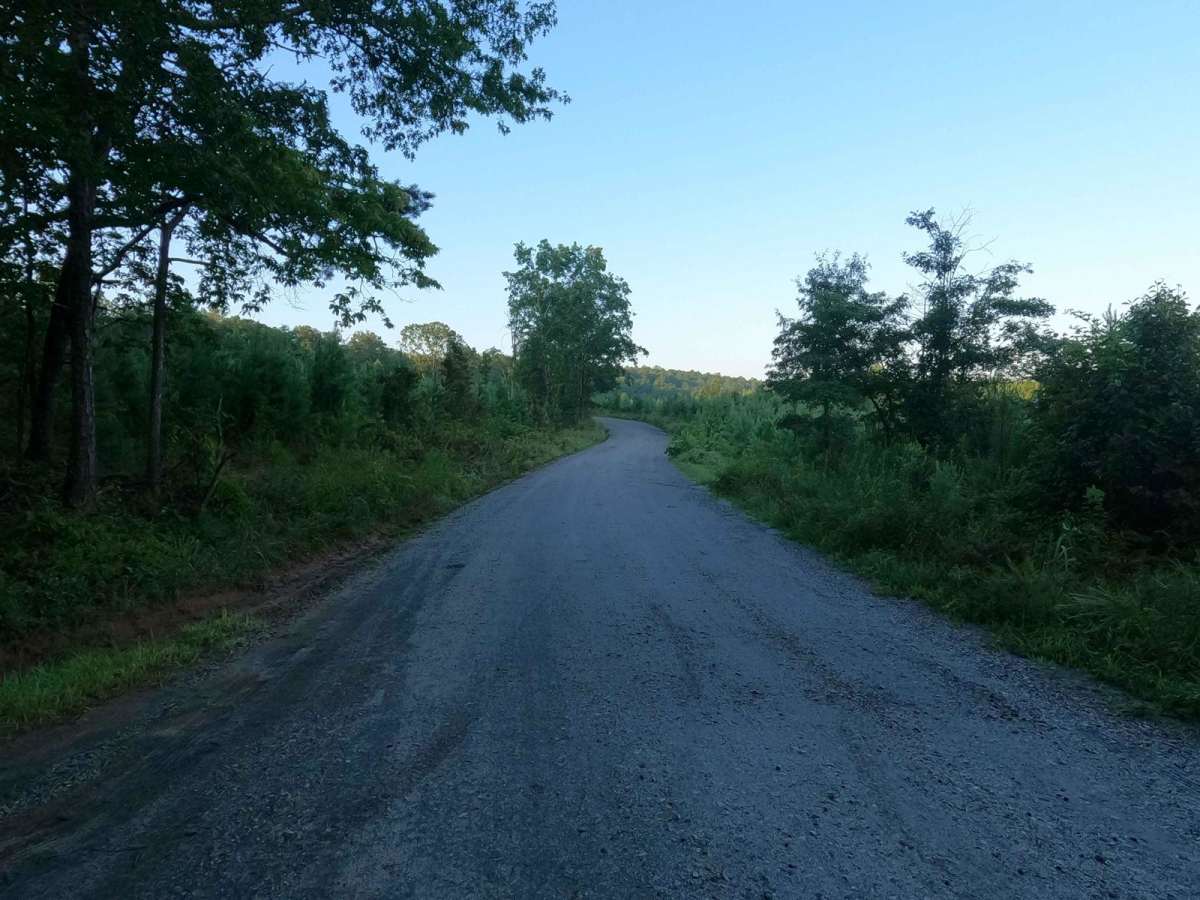 Currahee Mountain Road FSR 62 photo 3
