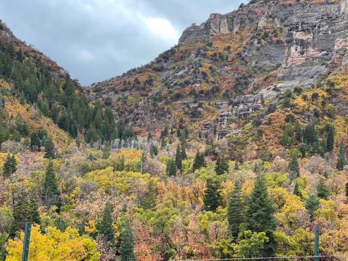 Log Canyon trail photo