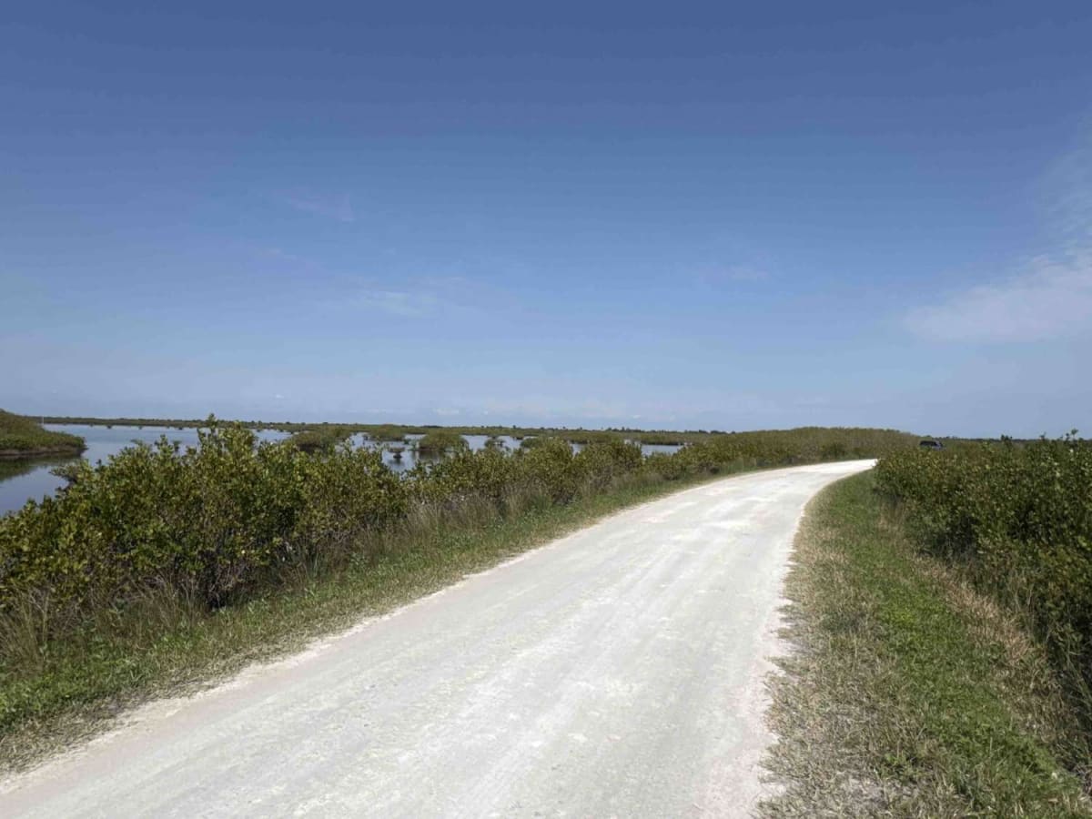 Gator Creek Road photo 5