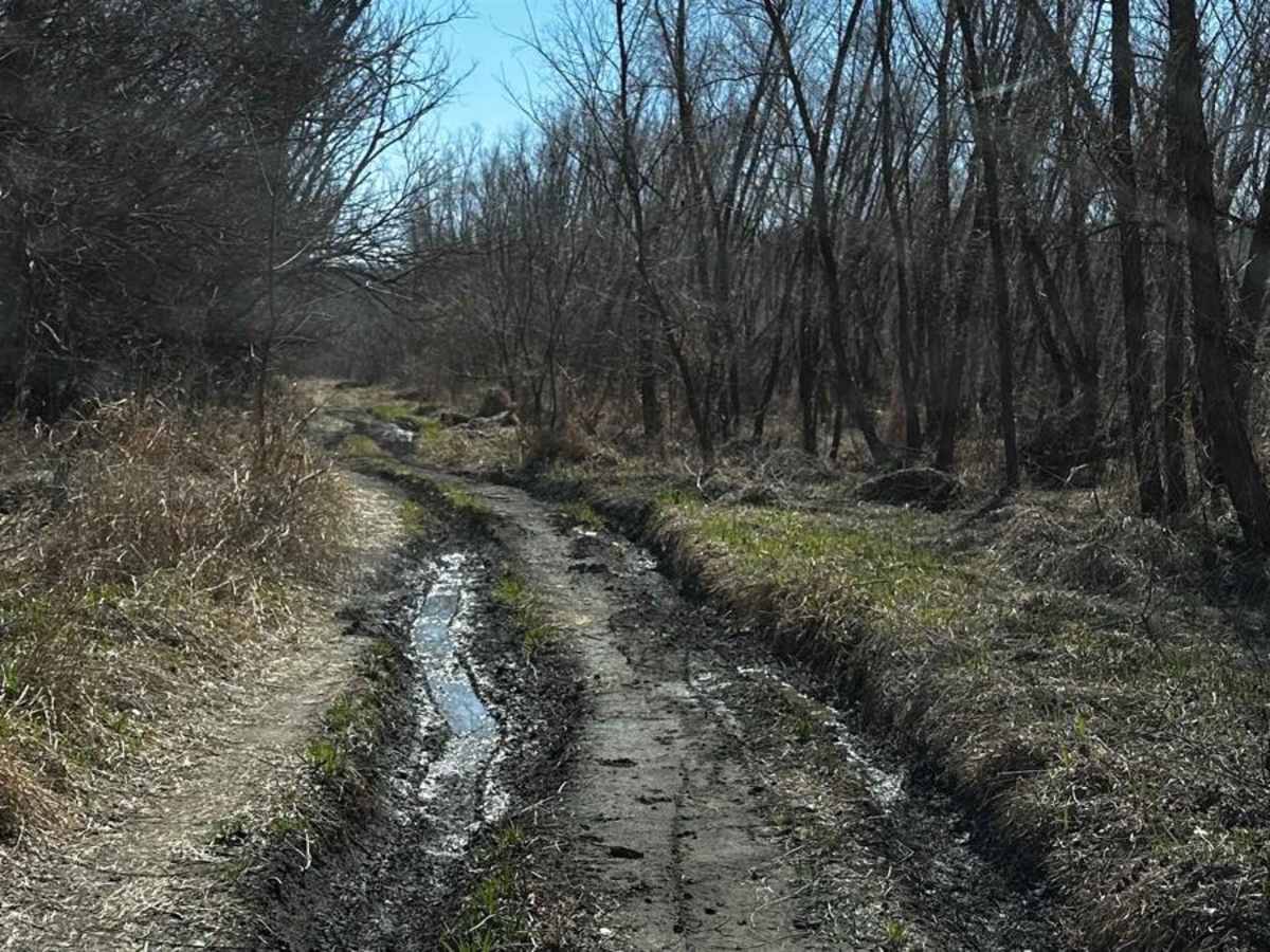 Riverside Dirt Trail - 735A Road photo 4