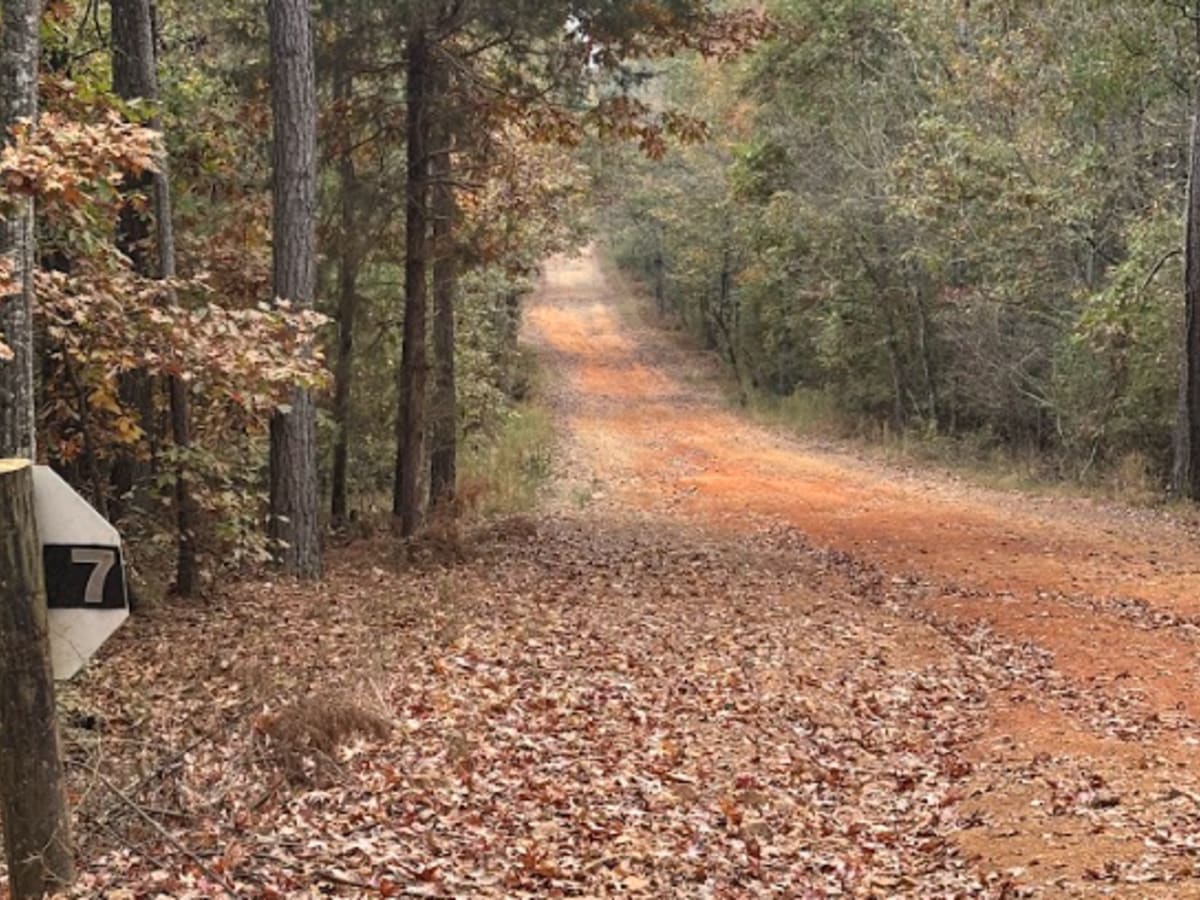 7 trail photo
