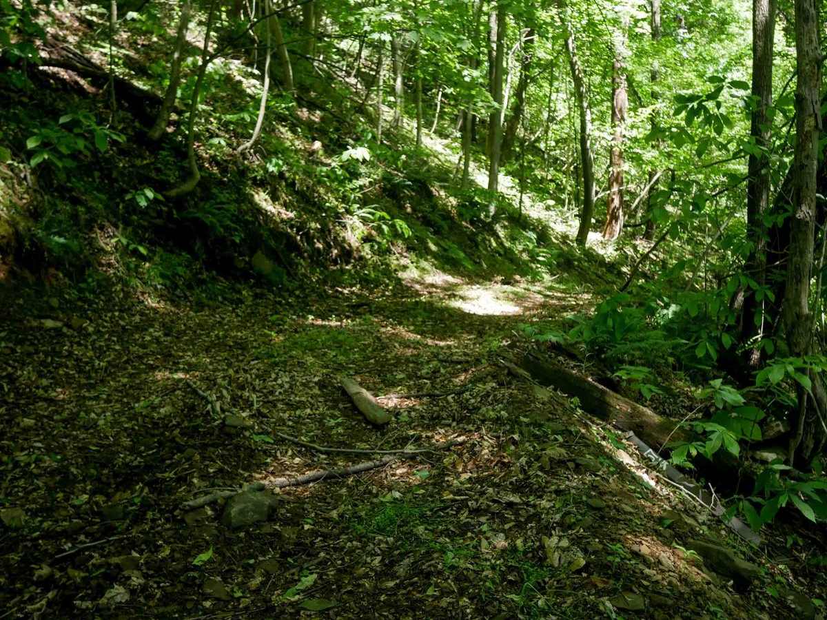 CC59 trail photo