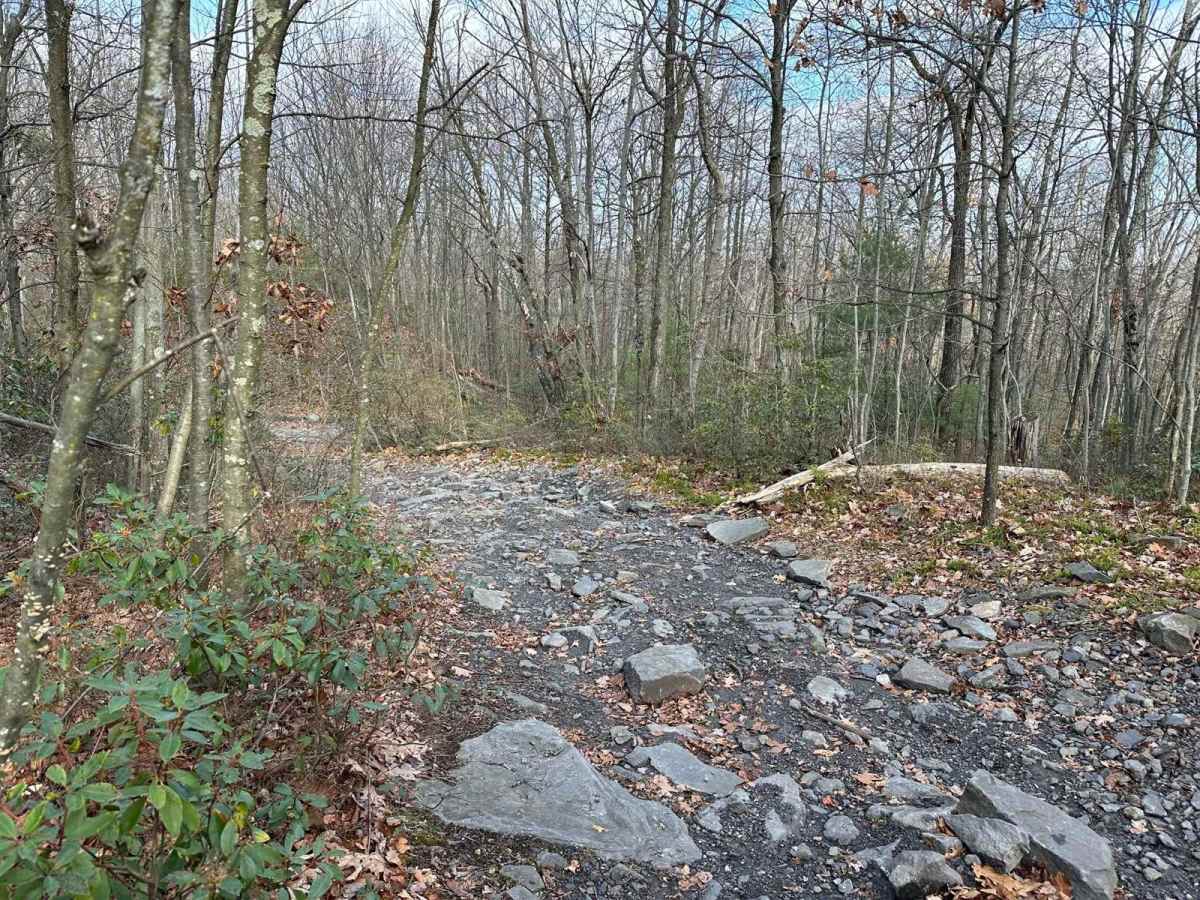 ATV Trail 17 photo 2