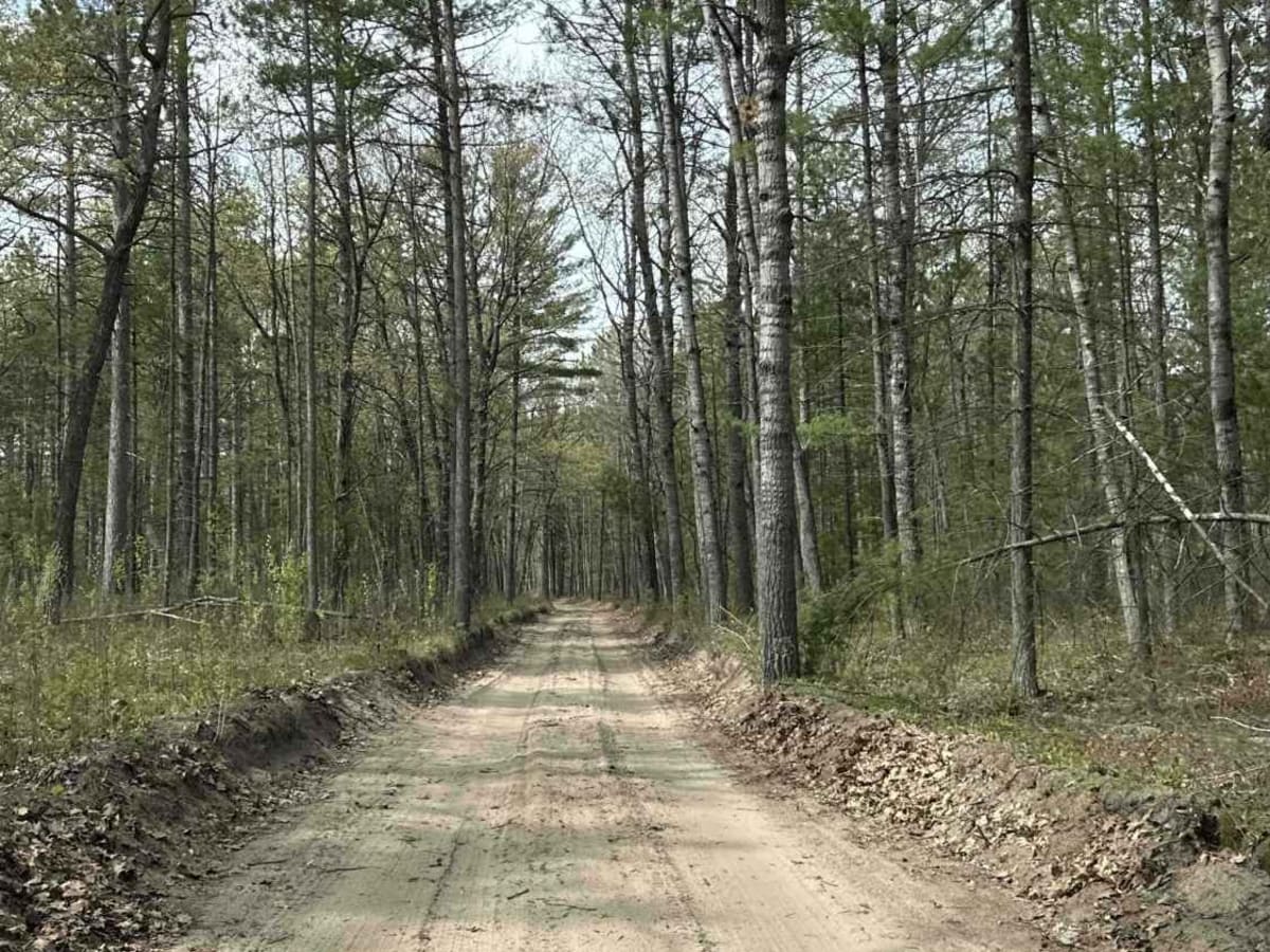 Sand Hill Trail photo 6