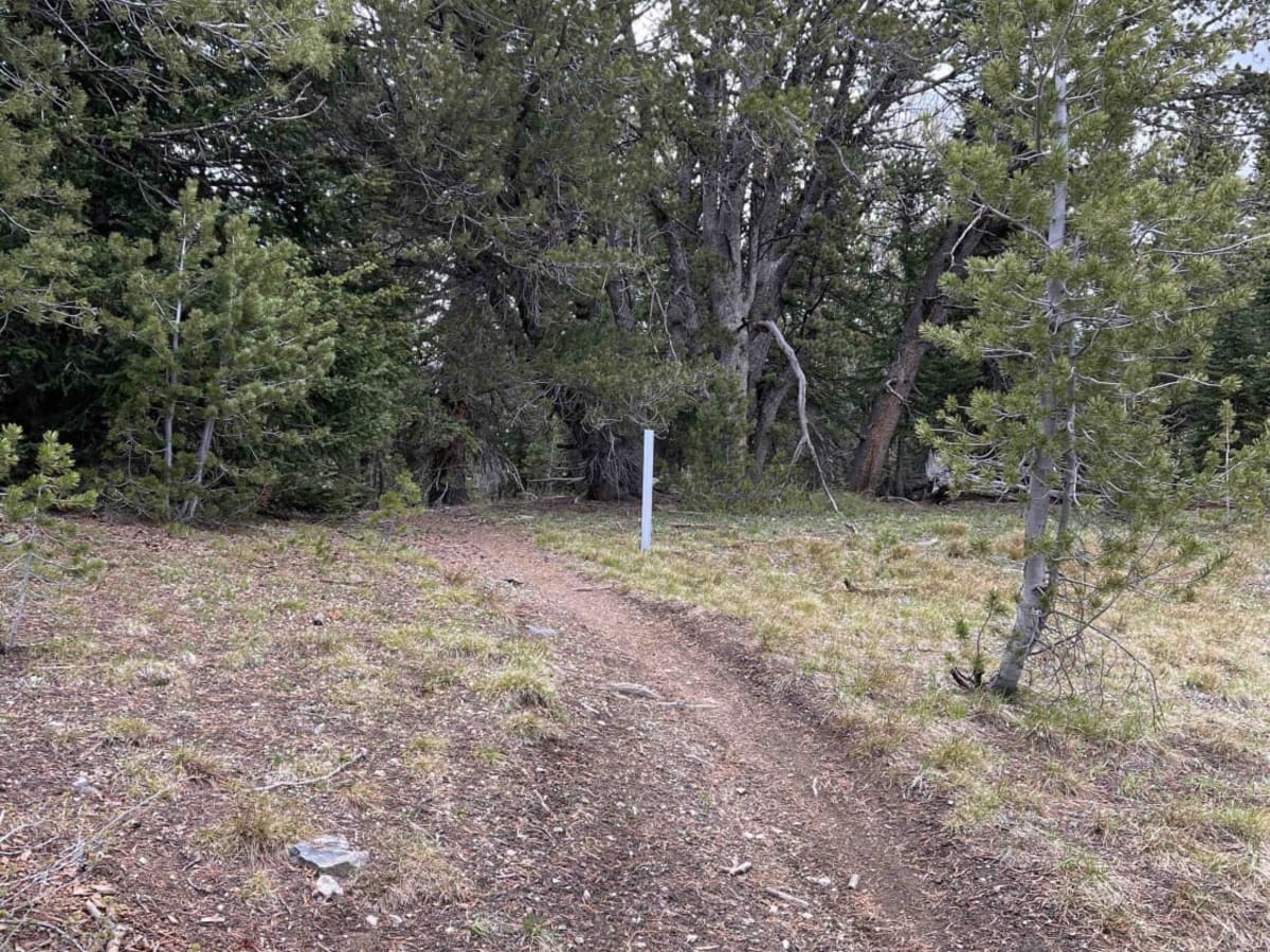 Rocky Creek photo 3