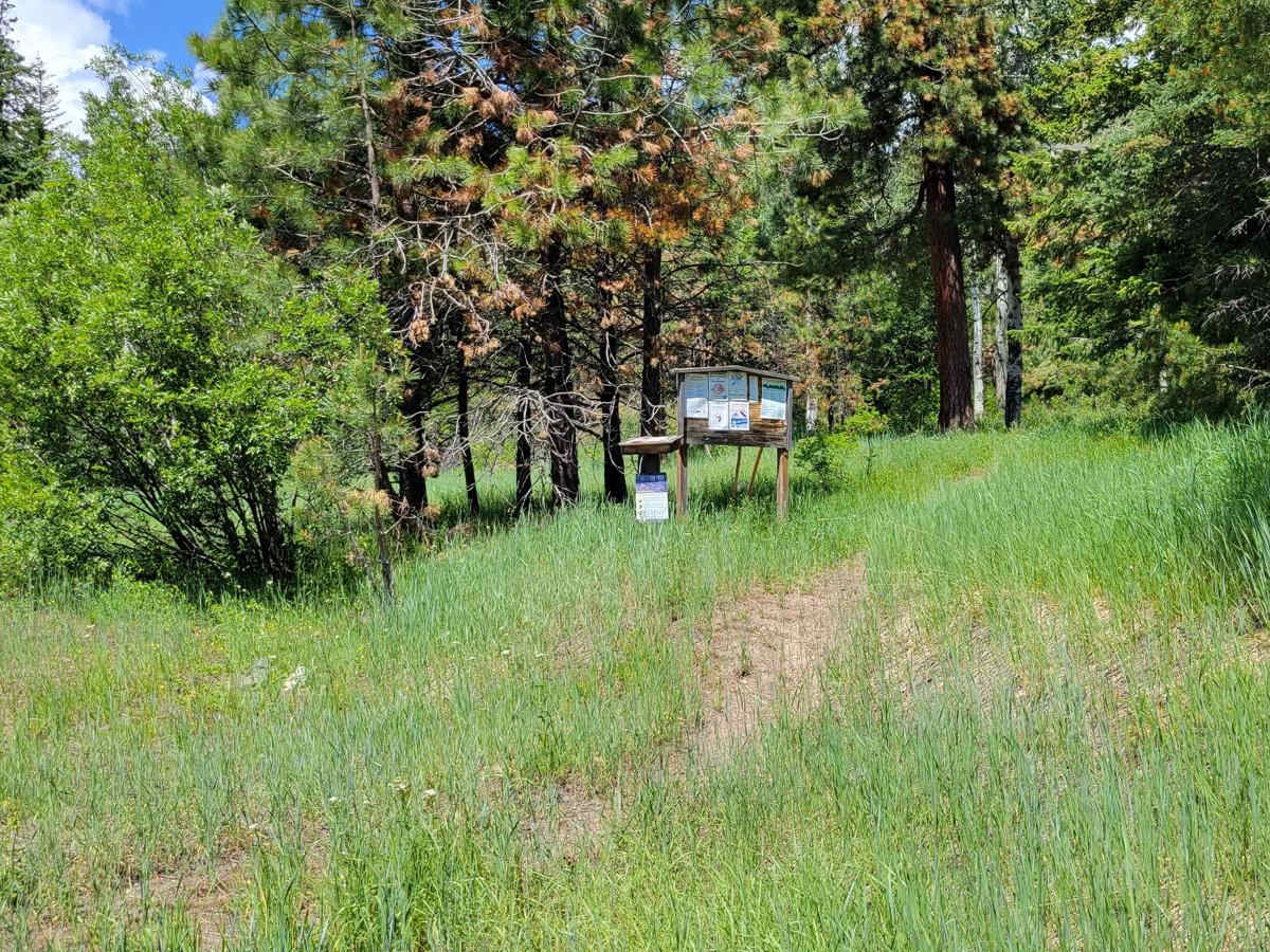 NF 700 - Libby Lake Trailhead photo 5