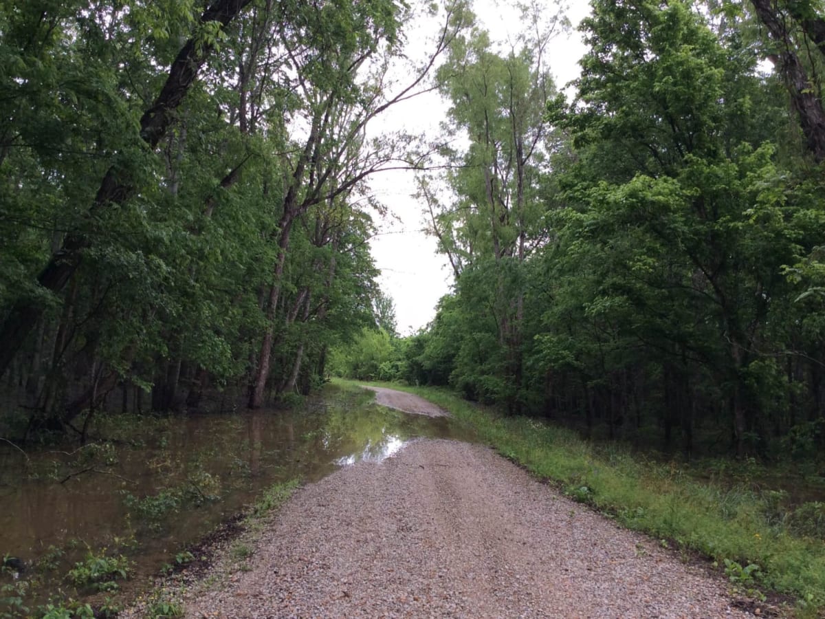 Red River Levee Trail photo 3