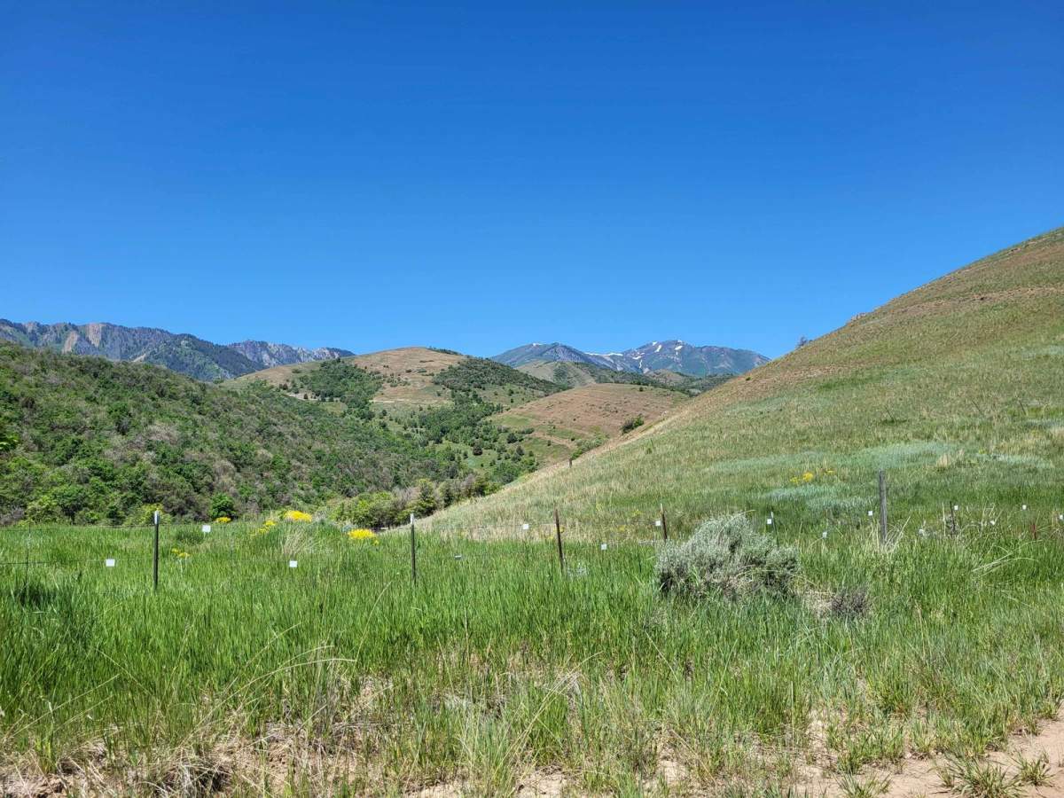 Mount Pisgah Road photo 6