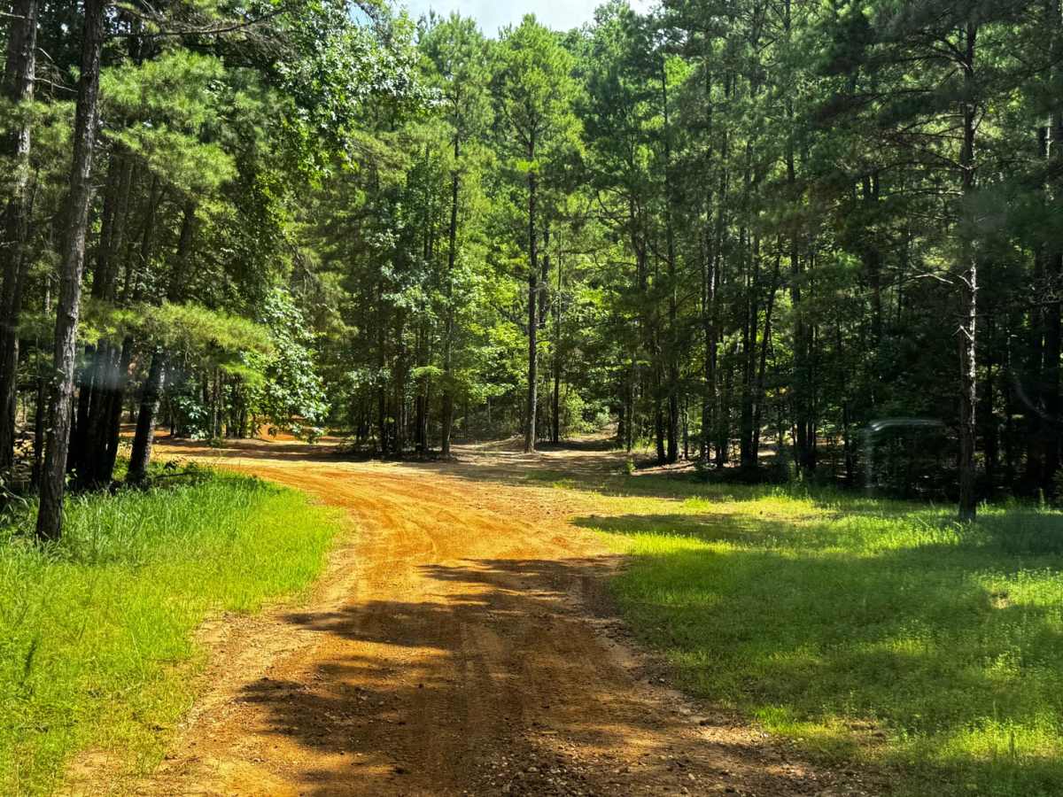 Old Camp Road photo 6