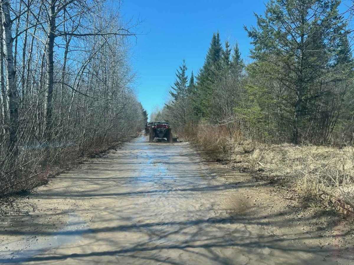 Beaver Dam trail photo