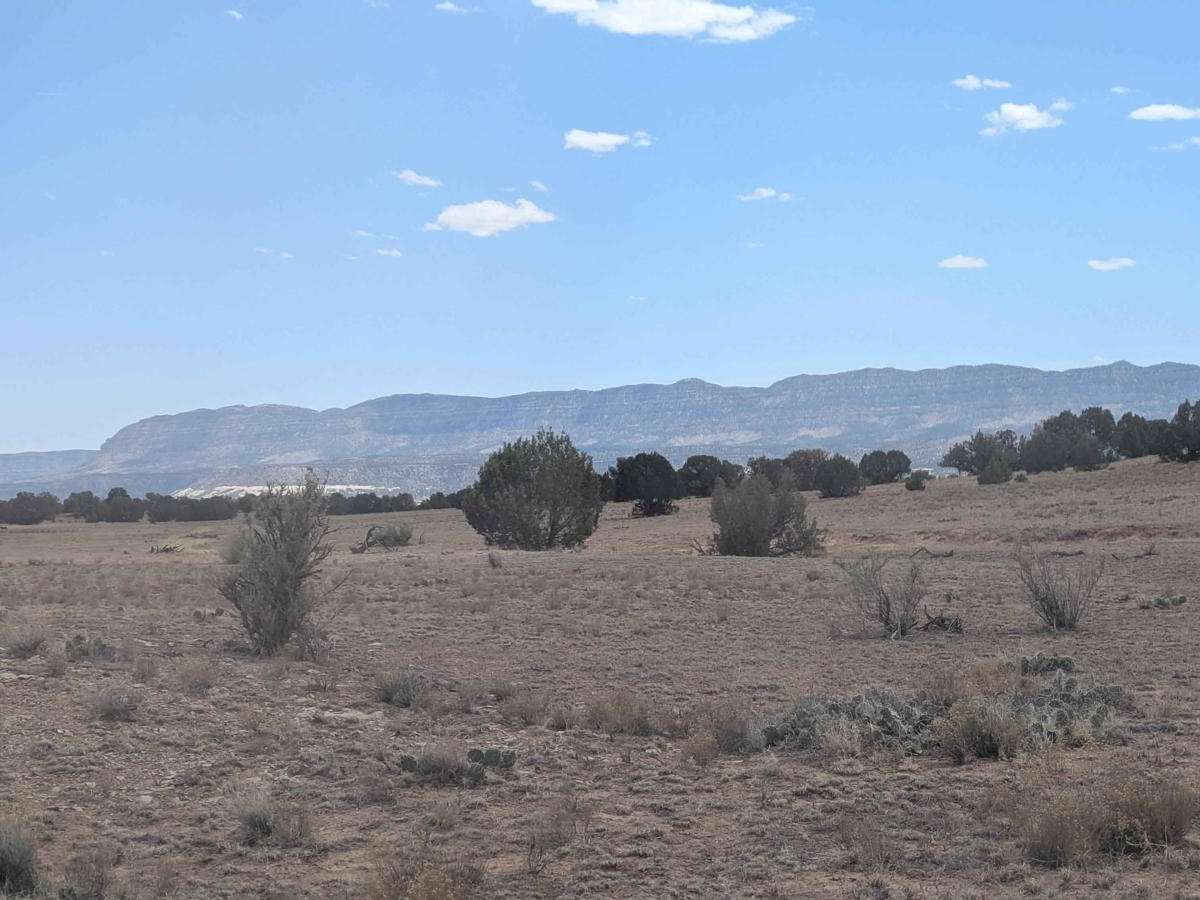 Big Spring/South Big Flat photo 2