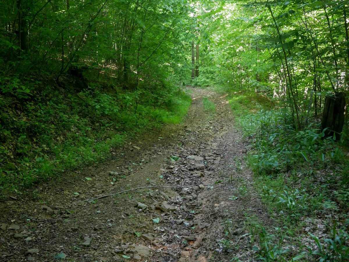 RV47 trail photo
