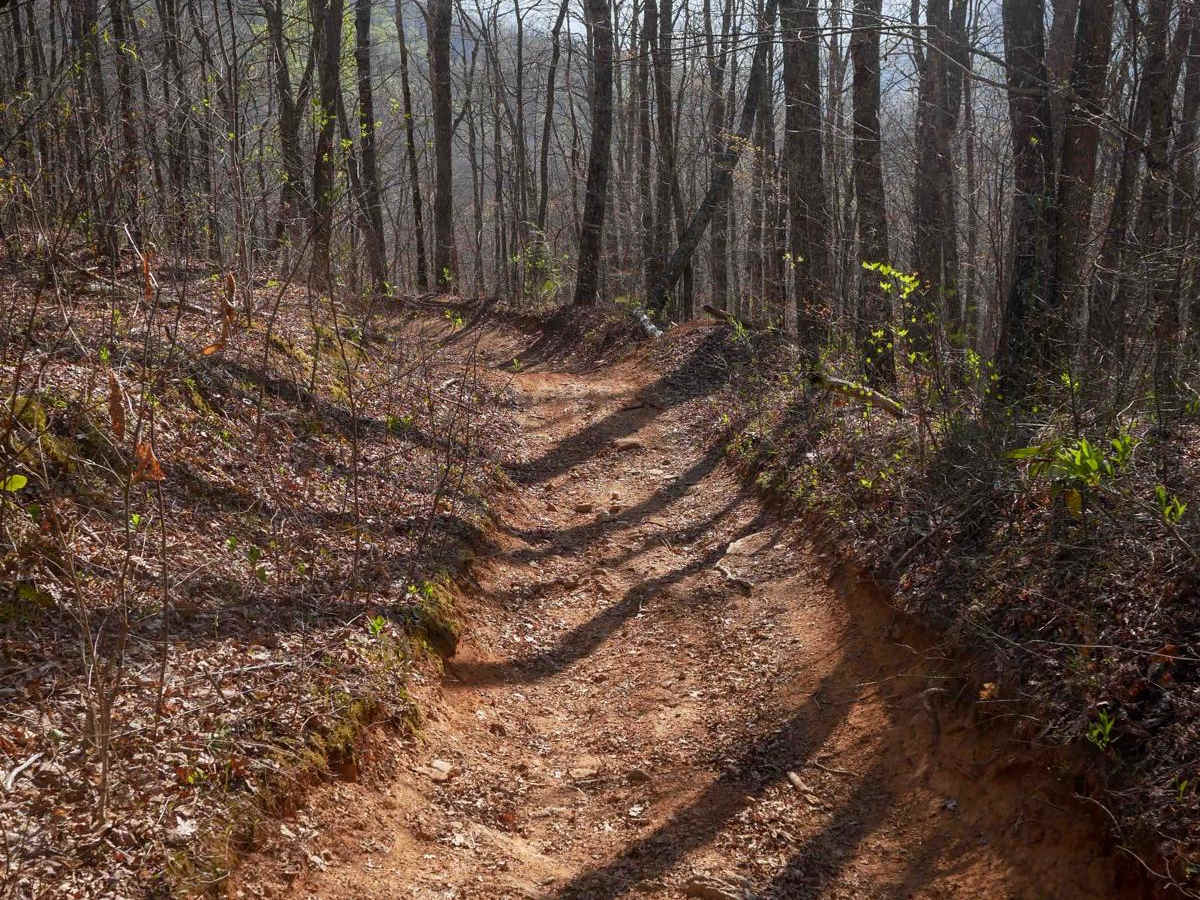 Black Mountain Trail 3 photo 3