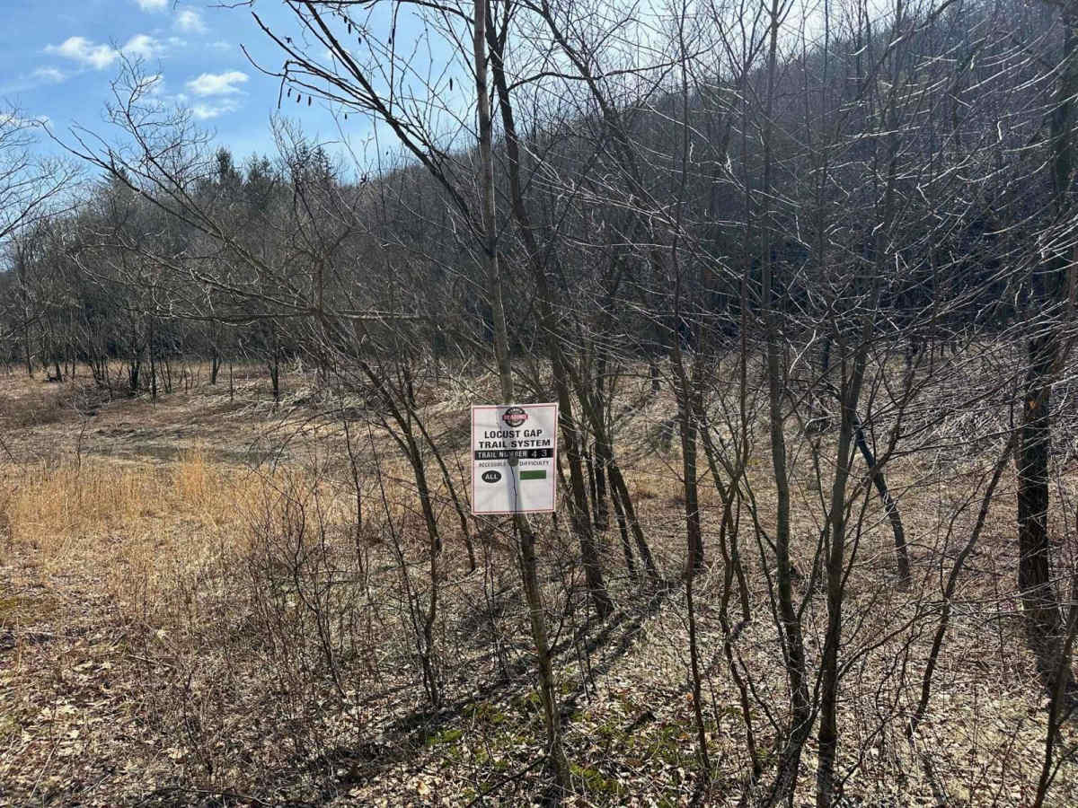 Locust Gap 43 photo 5