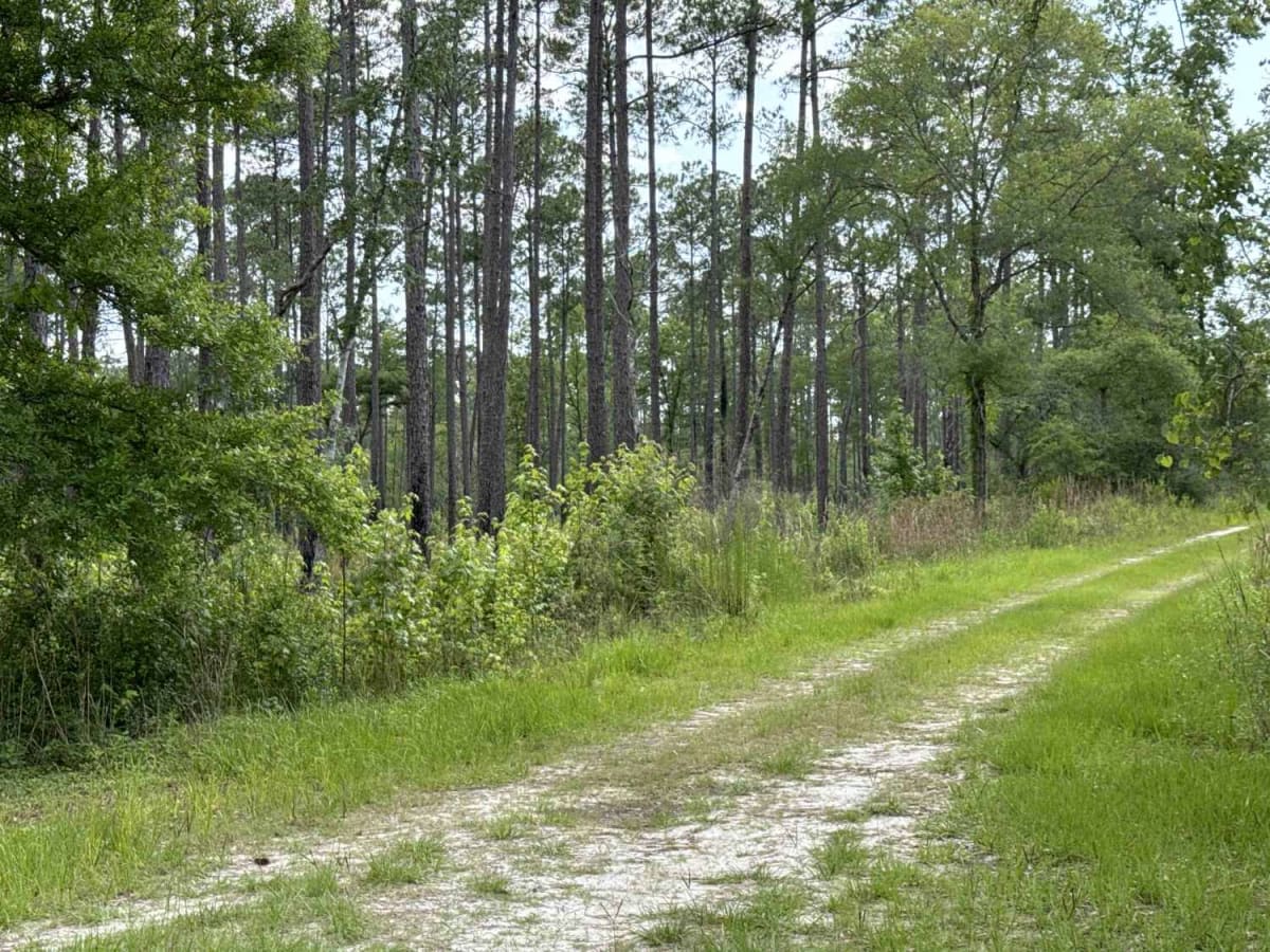 East Double Bridge Road photo 6