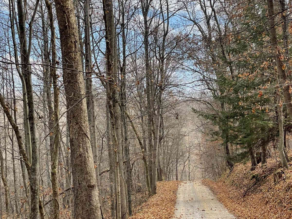 Jug Run to Girl Scout Camp photo 2
