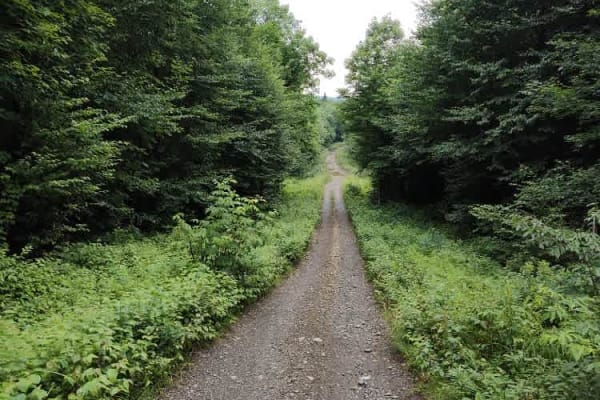 White Wolf Trail