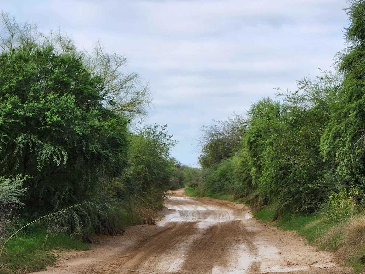 Old Mines Road photo 4