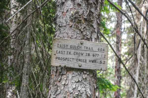 Daisy Creek