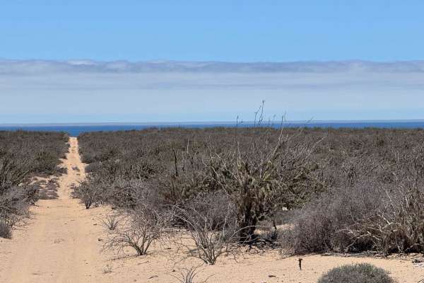 Southwest Coastal