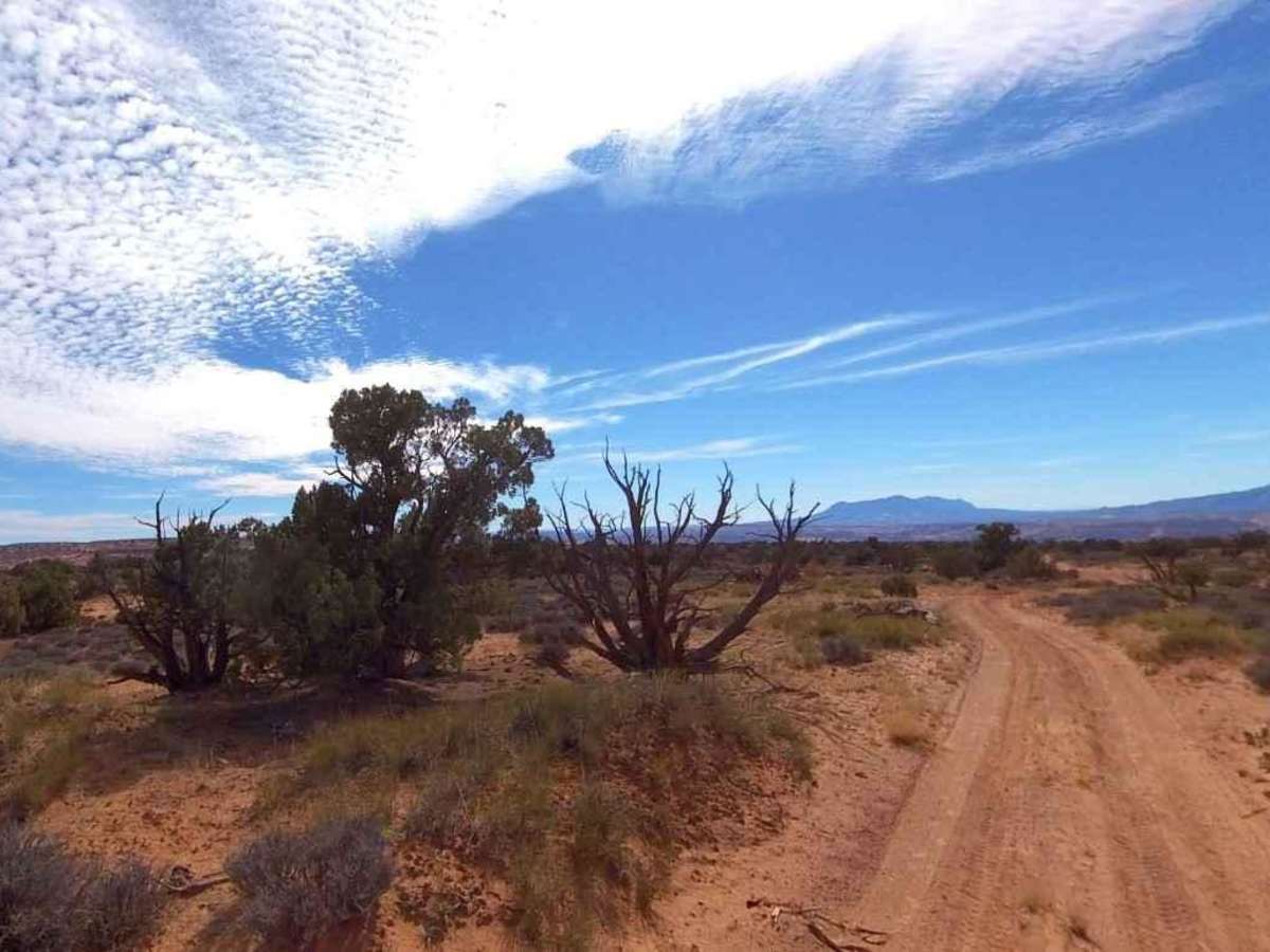 South Turkey Knob - BLM15250 photo 3